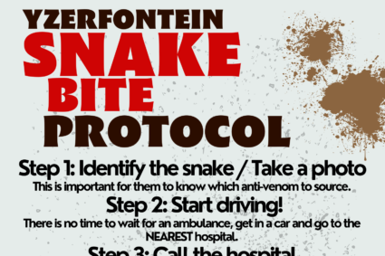 Snake Bite Protocol